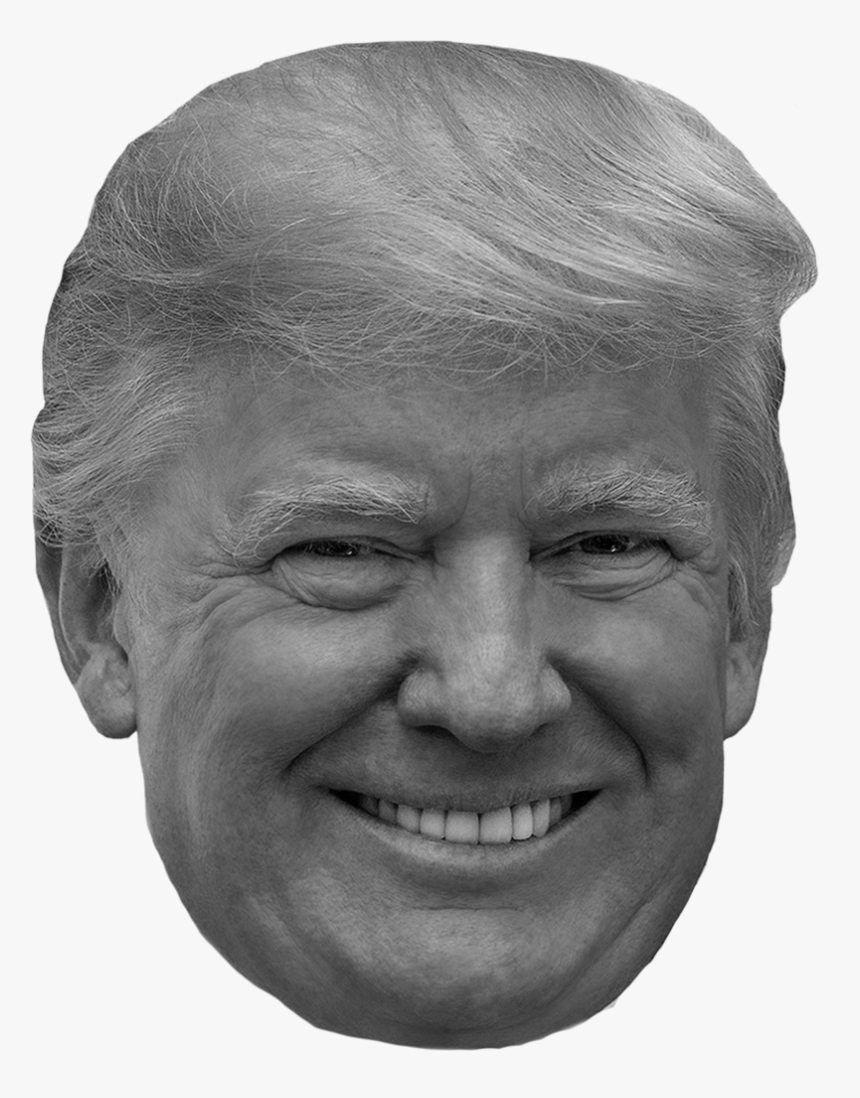 Trump Hair Png Bmi <18 - Donald Trump, Transparent Png, Free Download