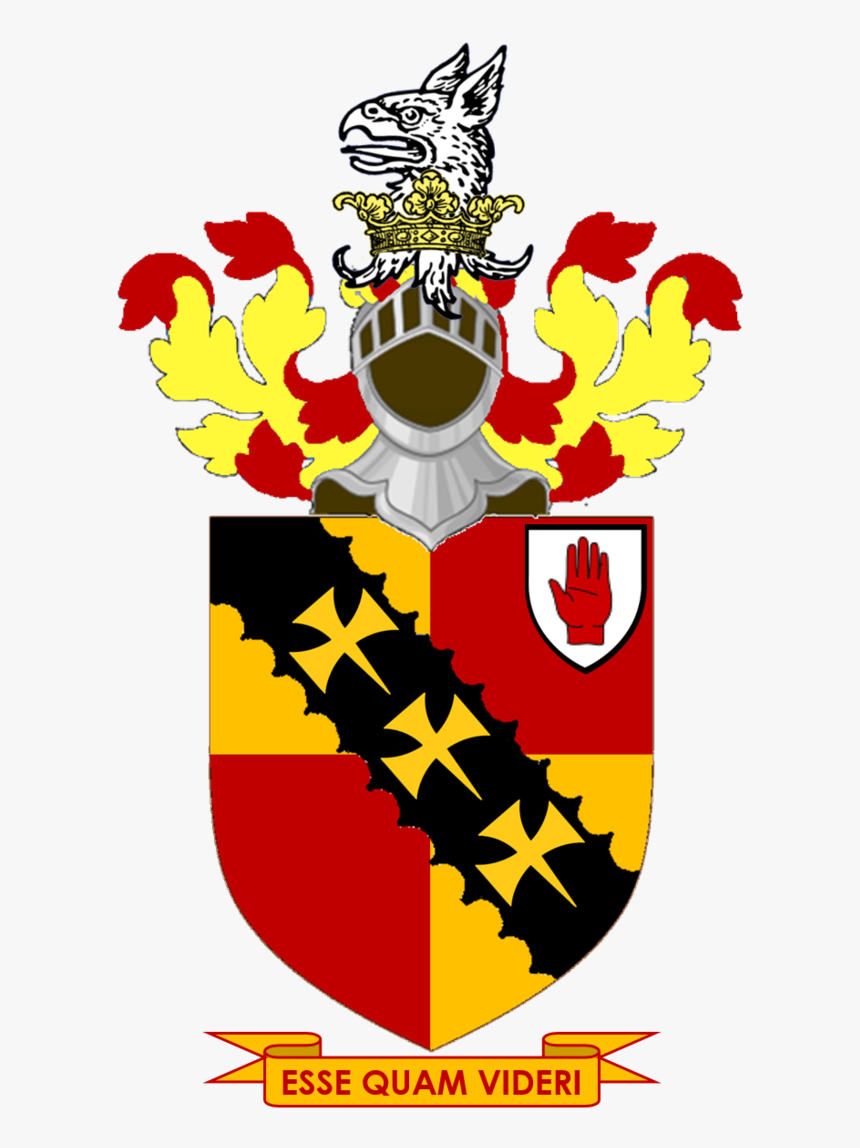 White Lion Coat Of Arms , Transparent Cartoons - Solihull Coat Of Arms, HD Png Download, Free Download