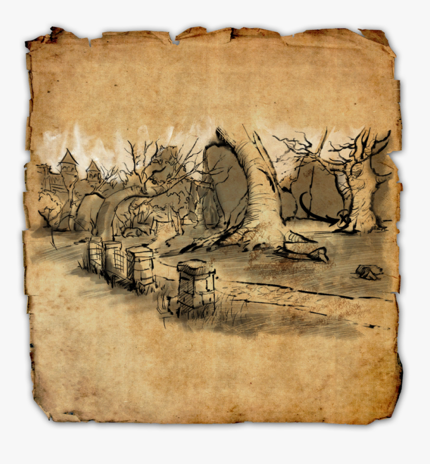 Treasure Map Download Elder Scrolls Online Treasure - Treasure Map, HD Png Download, Free Download