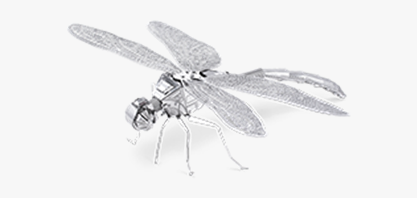 Build A Metal Bug, HD Png Download, Free Download