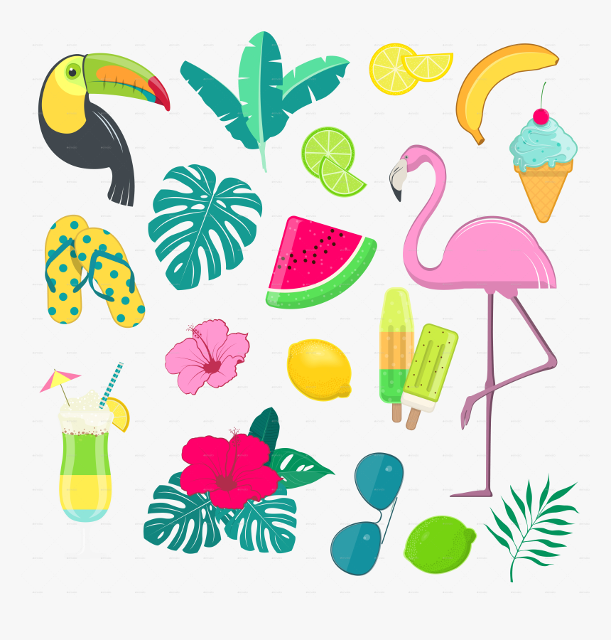 Summer Vector Png, Transparent Png, Free Download