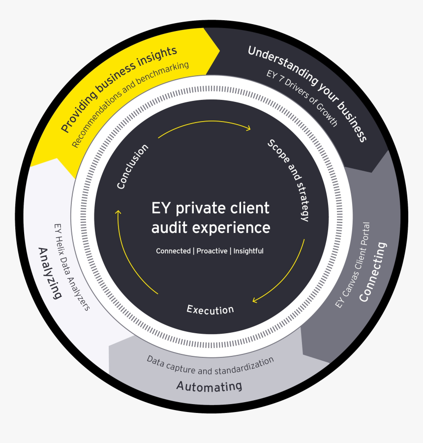 Ey Private Client Audit Experience - Circle, HD Png Download, Free Download