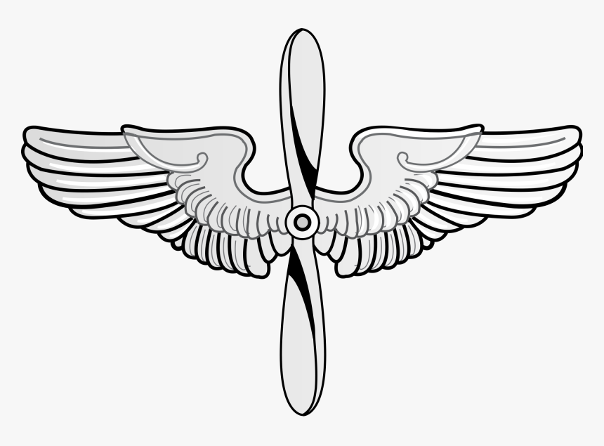 Pilot Wings Png, Transparent Png, Free Download