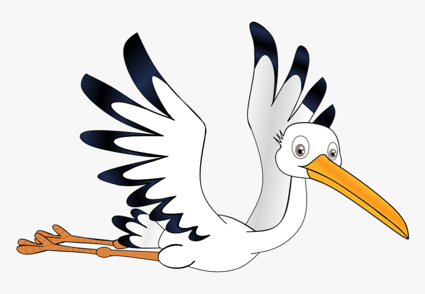 Stork, Pregnant, Sky, Rattle Stork, Bill, Clip Art, HD Png Download, Free Download