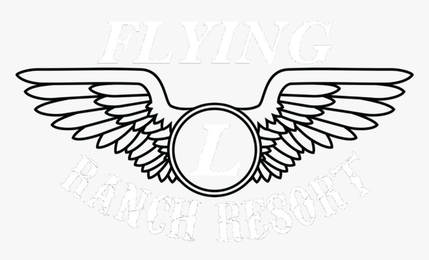 Transparent Bandera Png - Flight Wings Clip Art, Png Download, Free Download