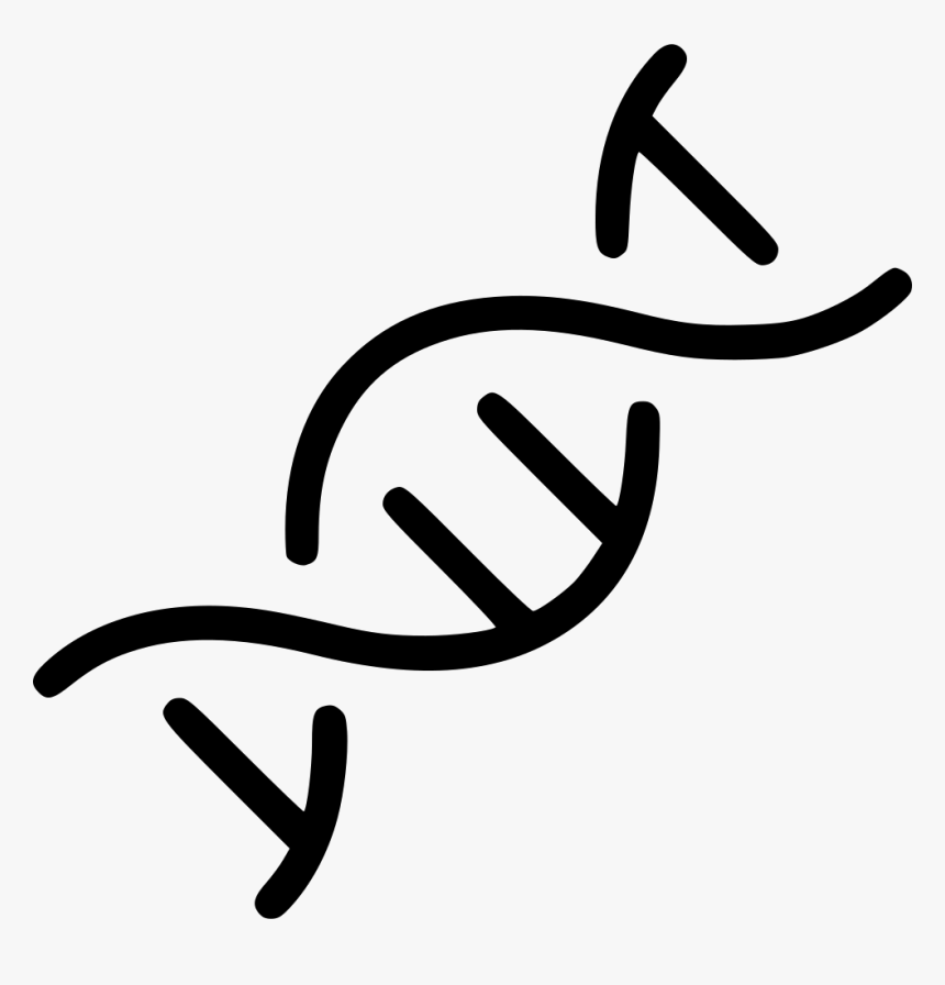 Transparent Dna Helix Png - Dna Helix Svg, Png Download, Free Download