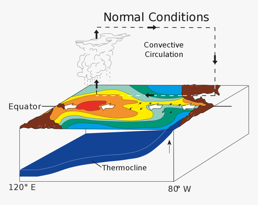 La Nina Normal Conditions, HD Png Download, Free Download