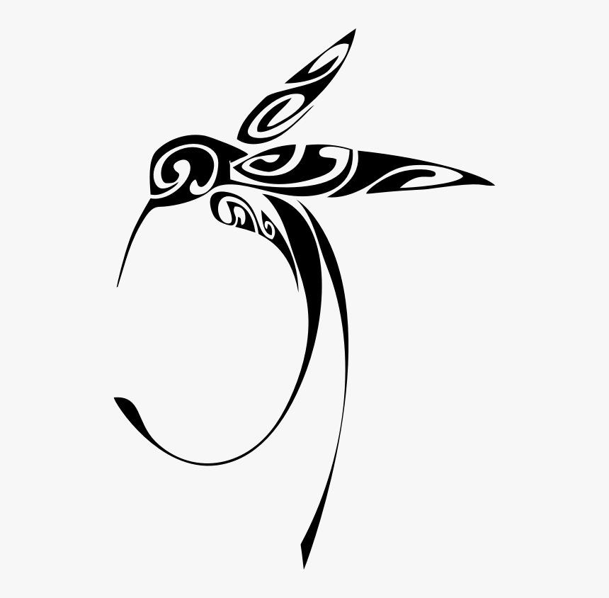 Ornamental Hummingbird Line Art By Karen Arnold - Hummingbird Line Art, HD Png Download, Free Download