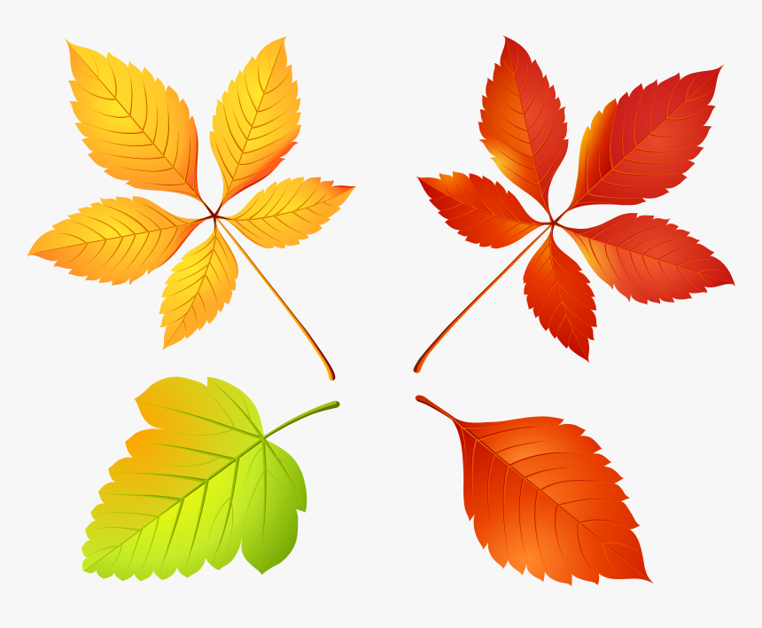 Fall Clipart Autumn Field, HD Png Download, Free Download