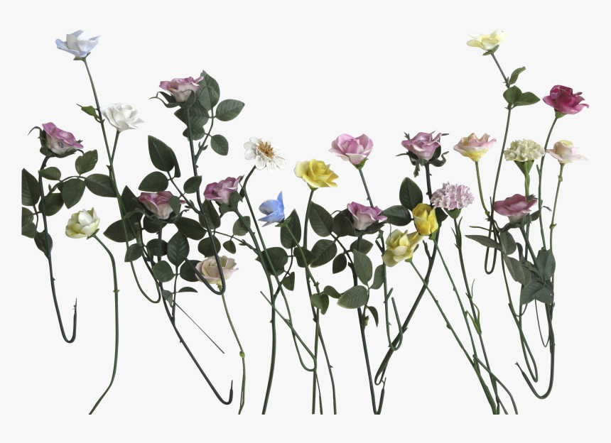 Flower Stems Png - Flowers With Stems Png, Transparent Png, Free Download