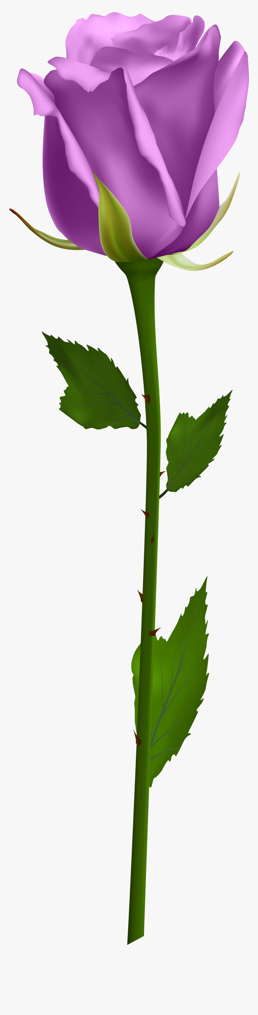 Flower Clipart Stems - Yellow Rose Png, Transparent Png, Free Download