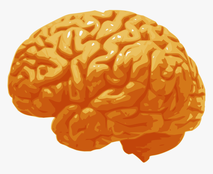 Video Game Skin Analysis Cs - Human Male Brain, HD Png Download, Free Download