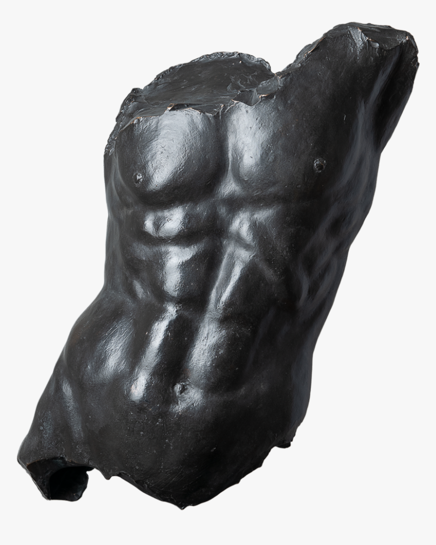 3d Torso Front - Hand, HD Png Download, Free Download