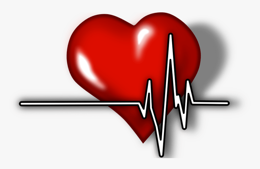 Heart Illustration - Heart With Ecg Logo, HD Png Download, Free Download