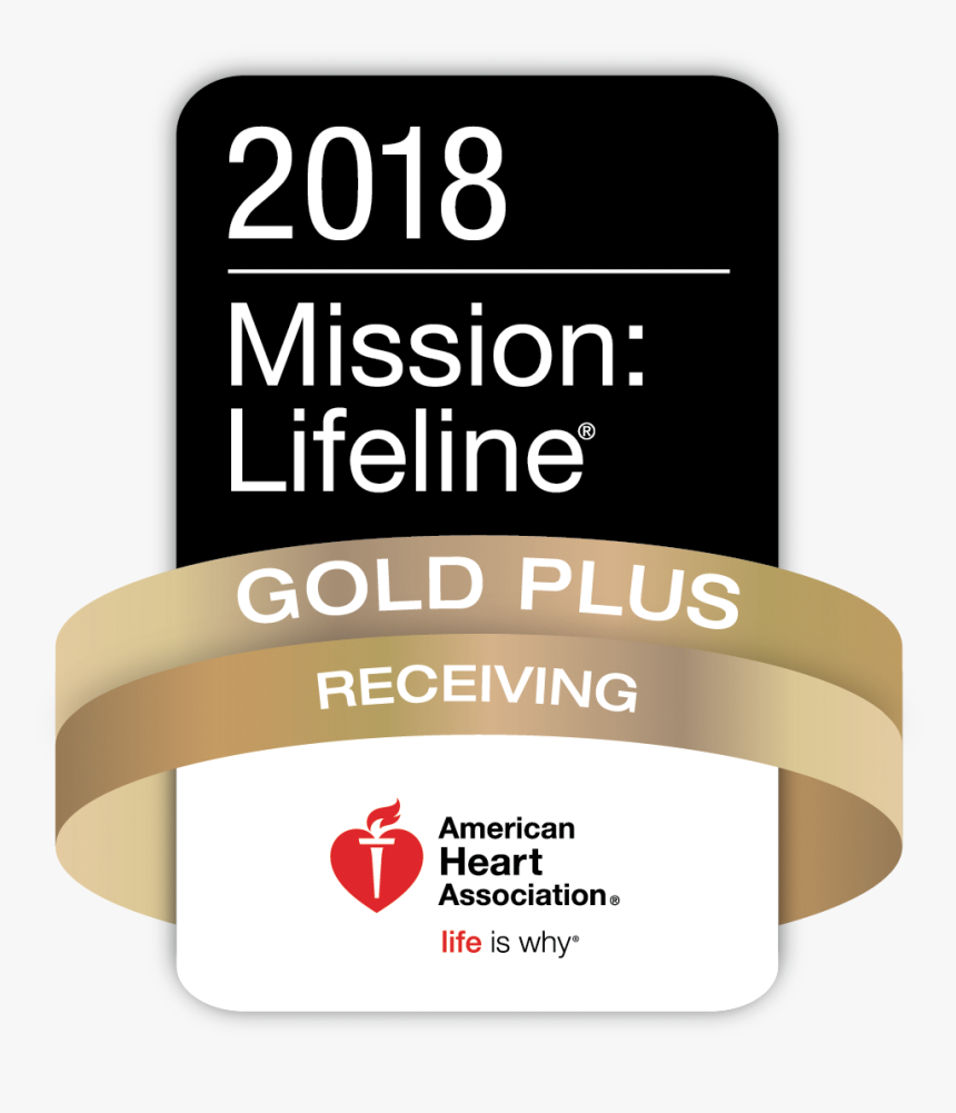 Stemi - Mission - Lifeline - 2018 - Gold - Plus - Logo - Mission Lifeline Gold Plus Award, HD Png Download, Free Download