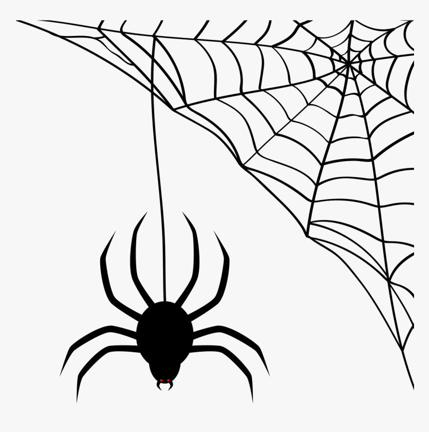 Spider Web Clipart, HD Png Download, Free Download