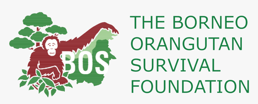 Logo-widget - Bos Foundation Logo, HD Png Download, Free Download