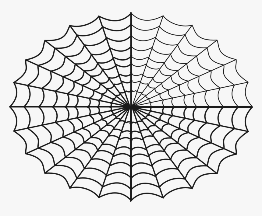 Spider, Web, Creepy, Art, Spooky, Insect, Spider Web - Large Spider Web Printable, HD Png Download, Free Download