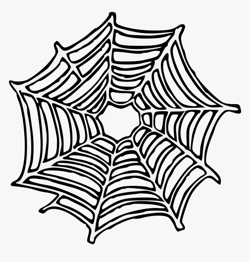 Spider Web Pdf, HD Png Download, Free Download