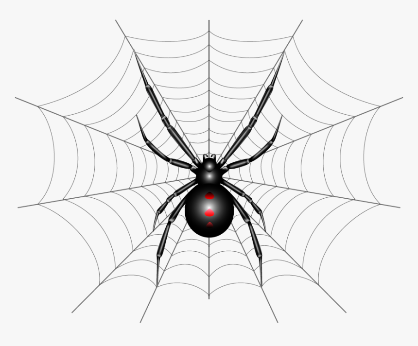 Spider Web, HD Png Download, Free Download