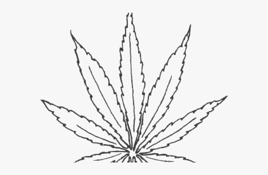 Drawn Weed Stoner - Transparent Cannabis Leaf Outline, HD Png Download, Free Download