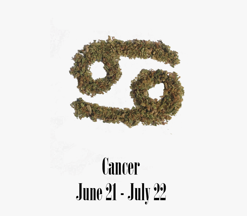 Stoner Cancer Monthly Horoscope - Moss, HD Png Download, Free Download