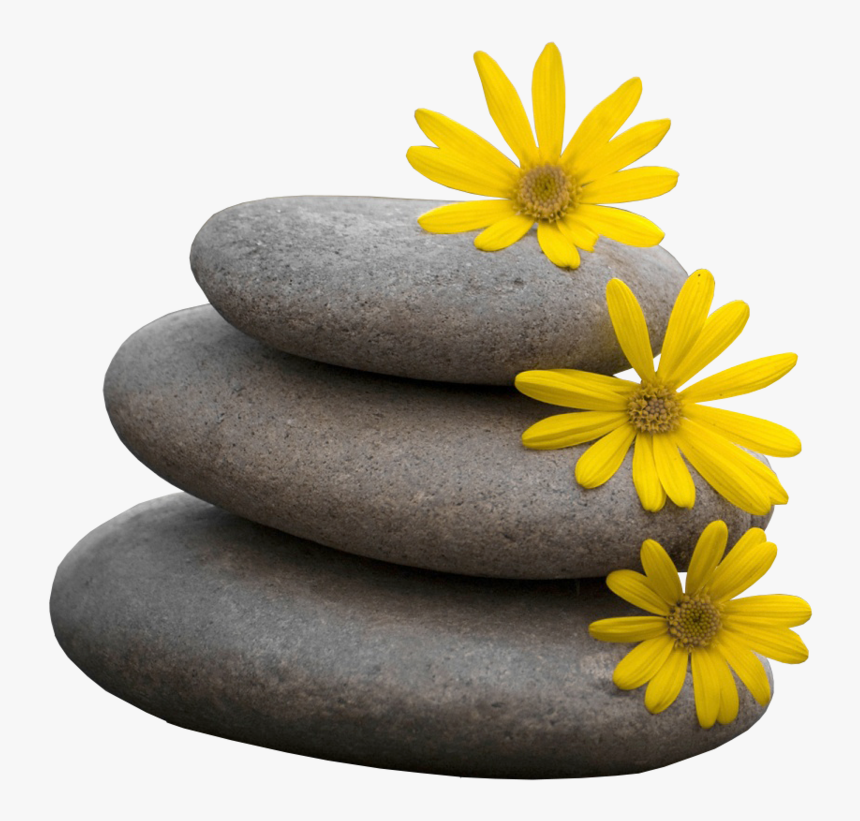 Zen Png Picture - Yellow Flower Wallpaper For Iphone, Transparent Png, Free Download