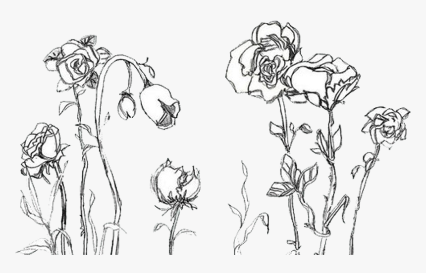 Drawing Flower Transparent Tumblr - Aesthetic Flower Drawing Png, Png Download, Free Download