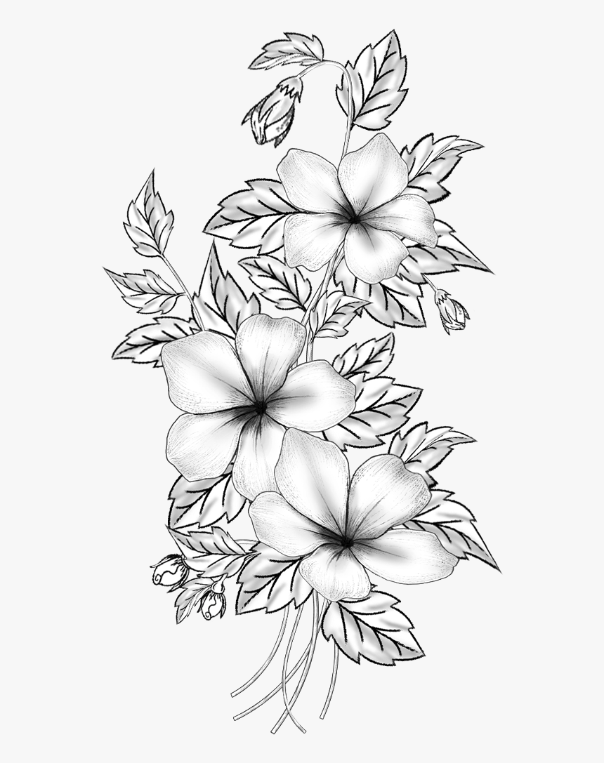 Floral Design Cut Flowers Drawing Branch /m/02csf - Pencil Drawing Images Flowers, HD Png Download, Free Download