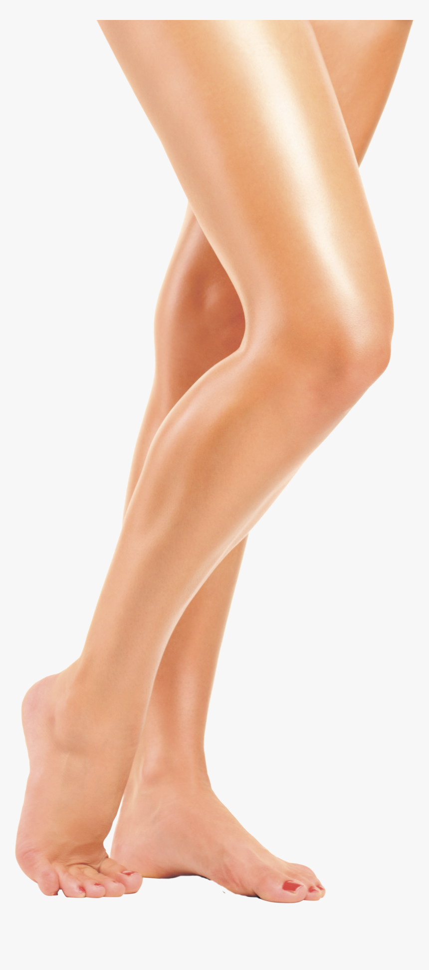 Free Download Of Legs Png Image Without Background - Legs Png, Transparent Png, Free Download