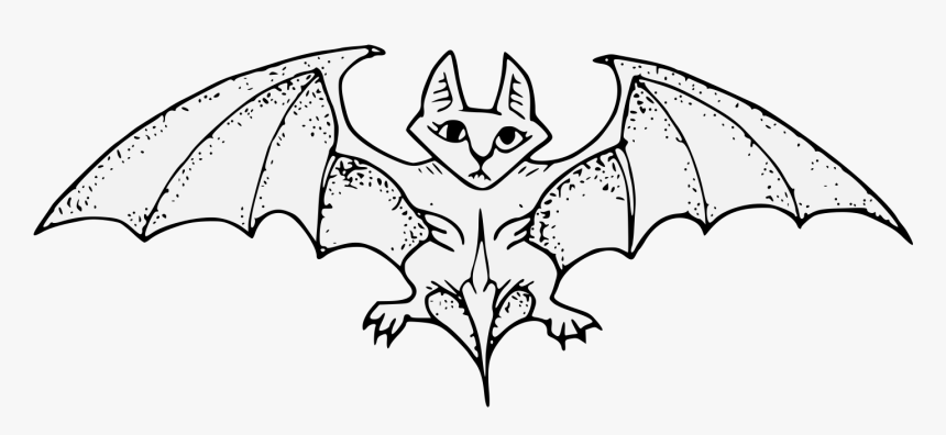 Transparent Bat Wing Png - Cartoon, Png Download, Free Download