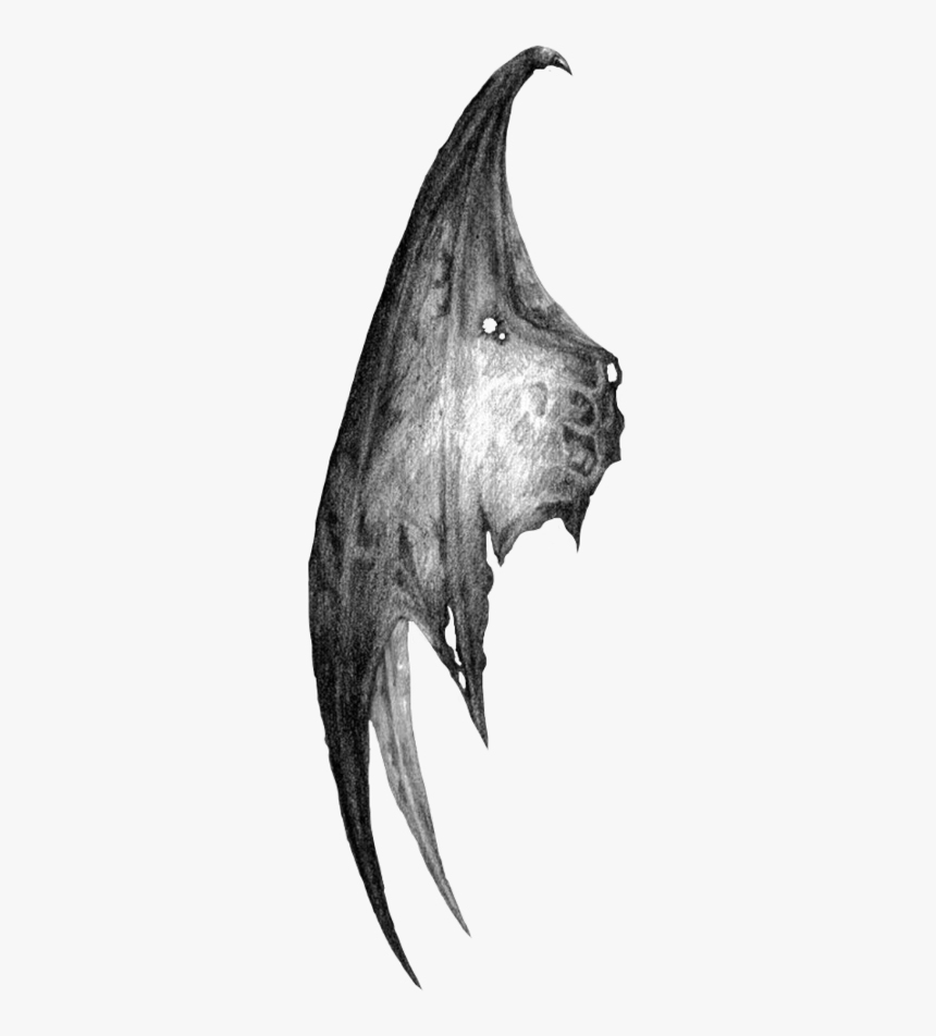 #bat #wing #dark #devil #freetoedit - Transparent Demon Wings Png, Png Download, Free Download