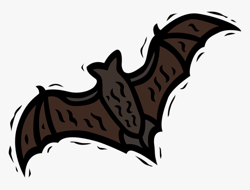 Bat, Spread, Wings, Halloween, Scary, Fear, Phobia - Cartoon Bat, HD Png Download, Free Download