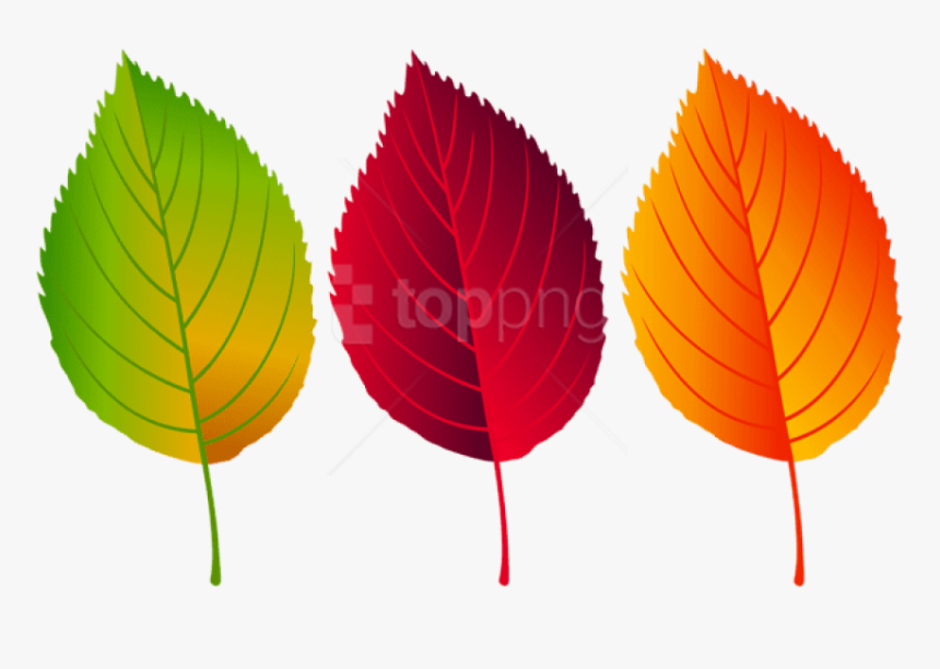 Awesome Download Colorful Png - Colorful Fall Leaves Clipart, Transparent Png, Free Download