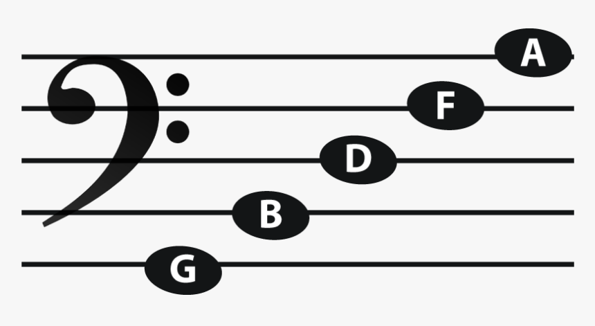 Bass Line Notes - Bass Clef Note F, HD Png Download, Free Download