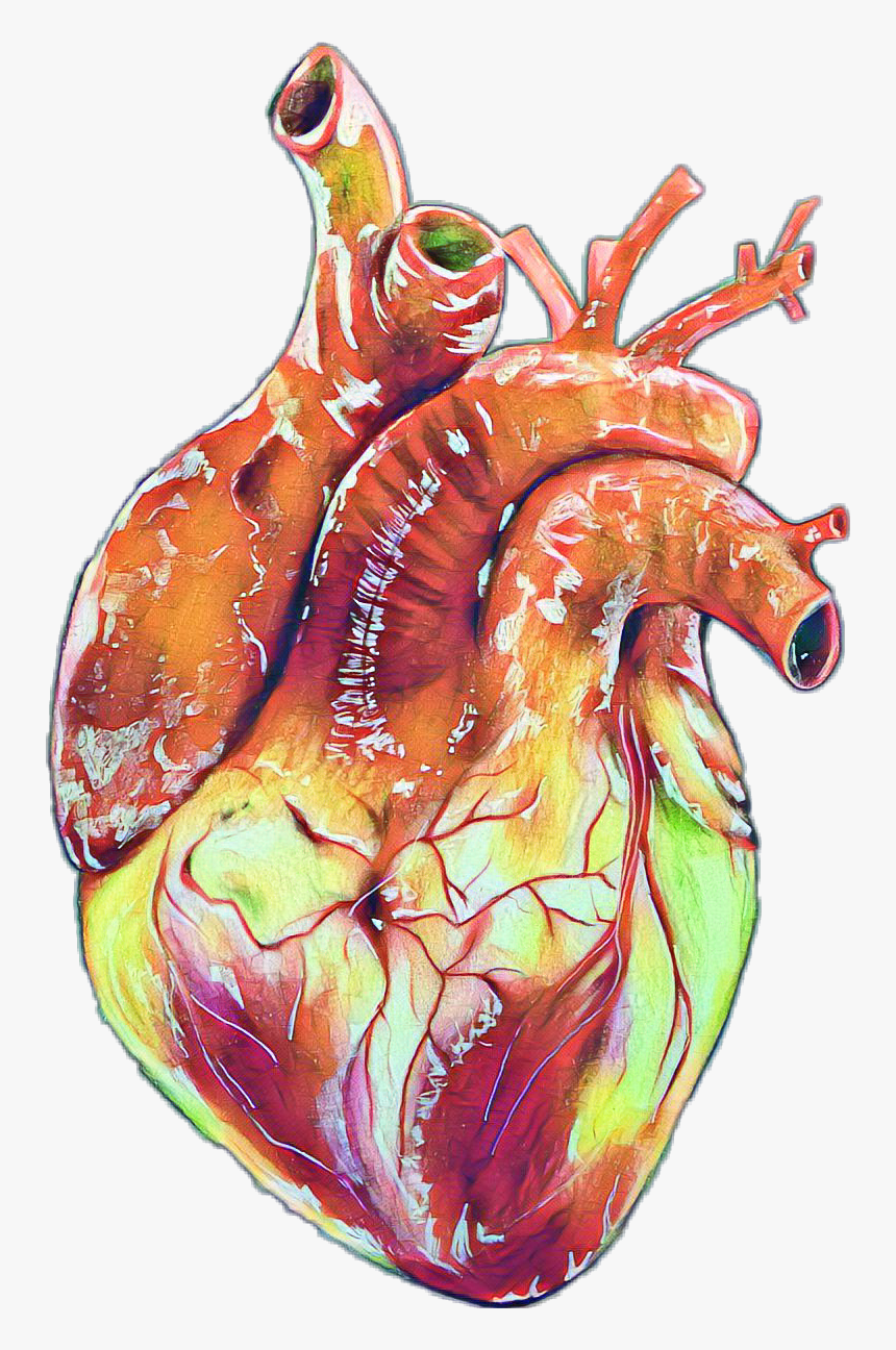 #heart #realistic #real #edit #sticker - Realistic Human Heart Art, HD Png Download, Free Download