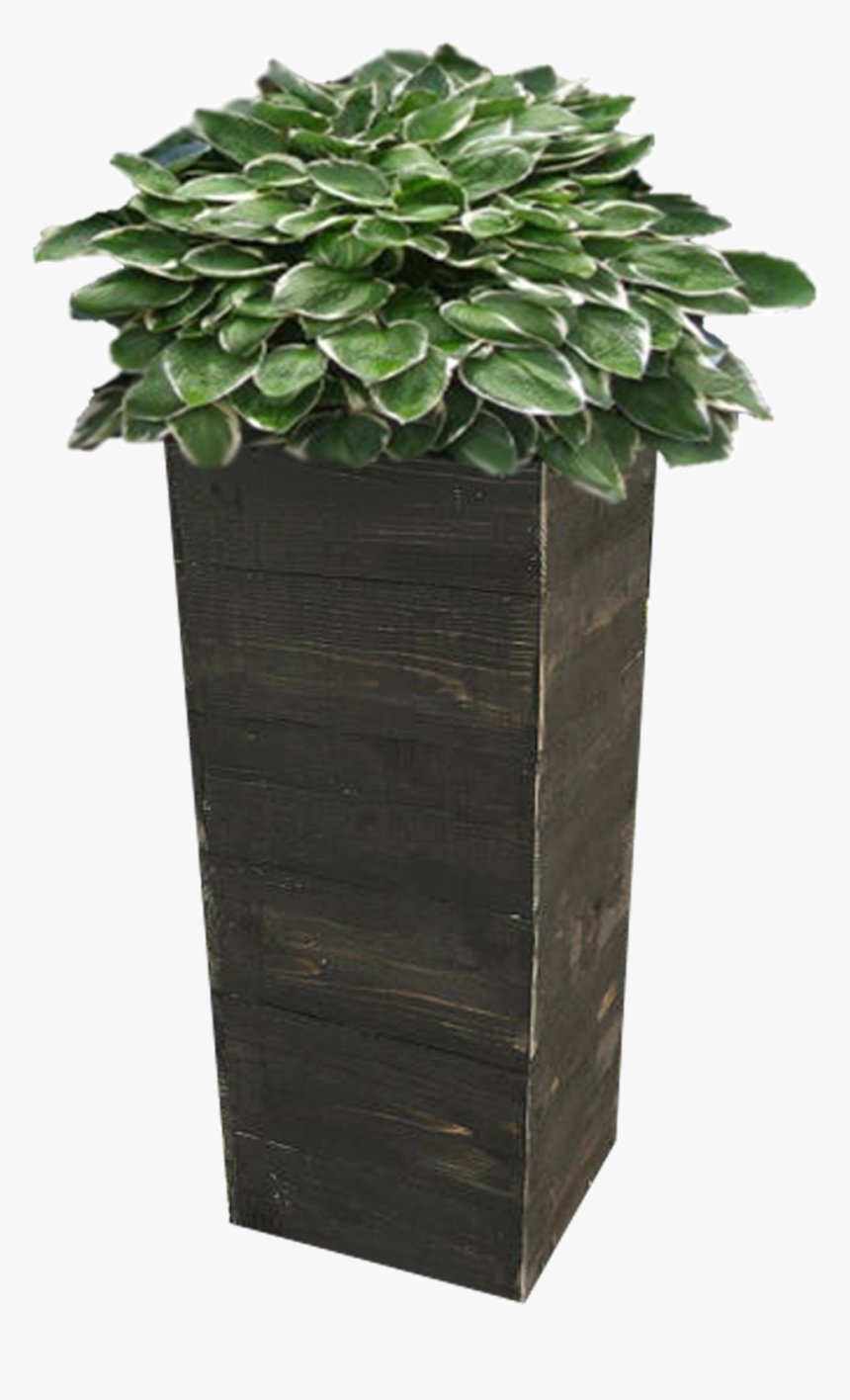 Planter Png Page, Transparent Png, Free Download