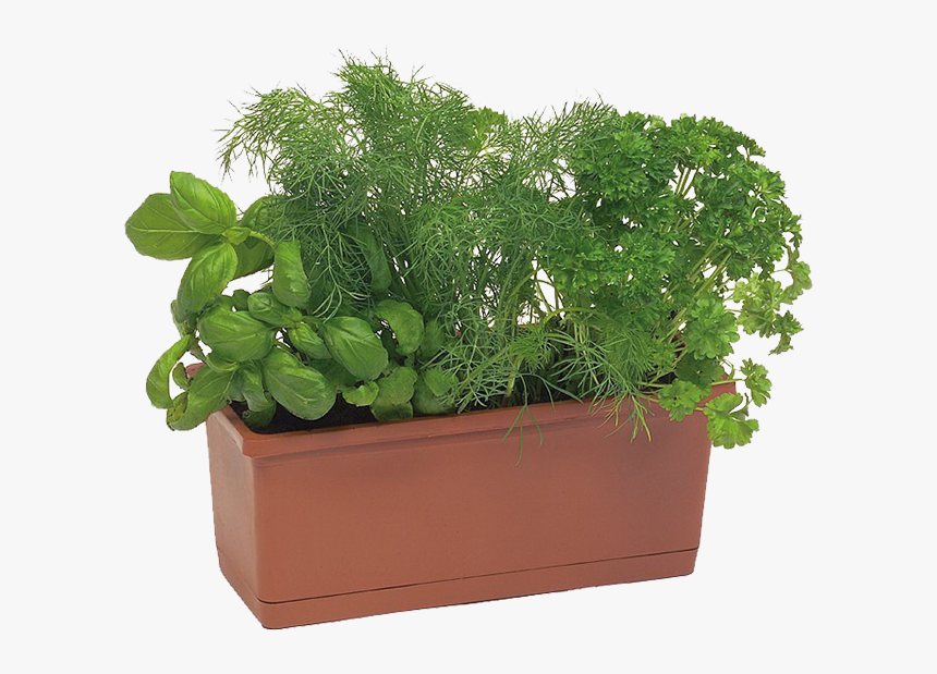 Trough Planters - Flowerpot - Flowerpot, HD Png Download, Free Download