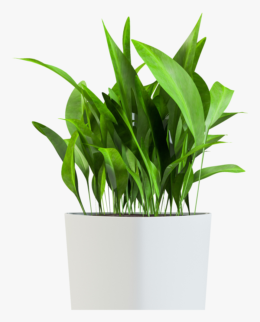 Flowerpot, HD Png Download, Free Download