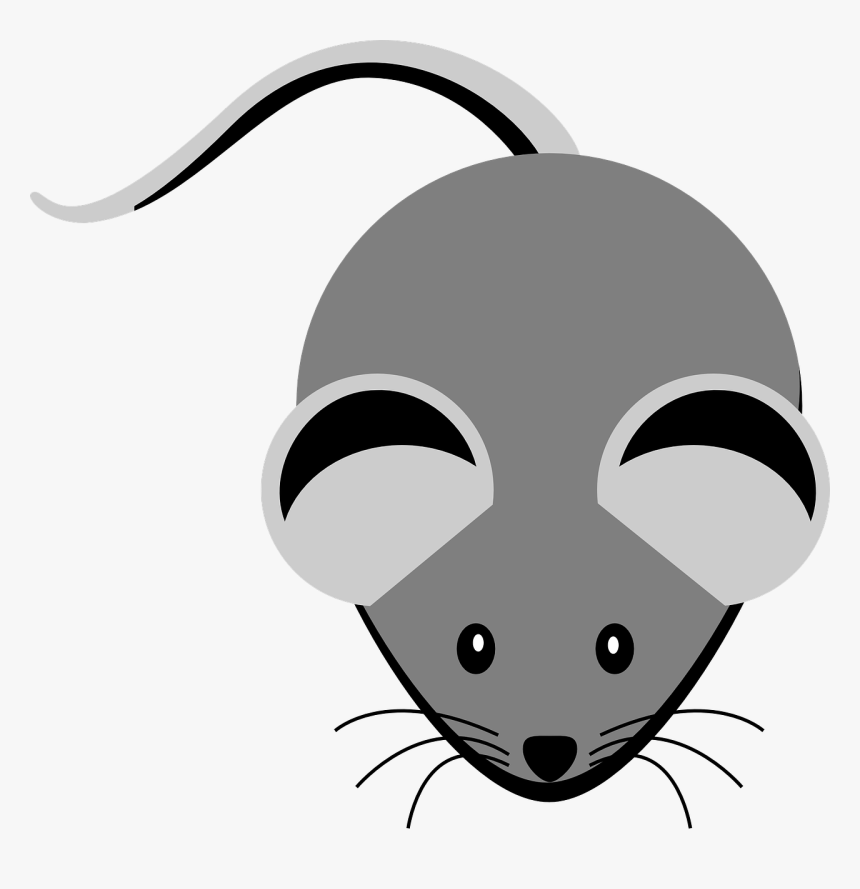 Clipart Gray Mouse, HD Png Download, Free Download