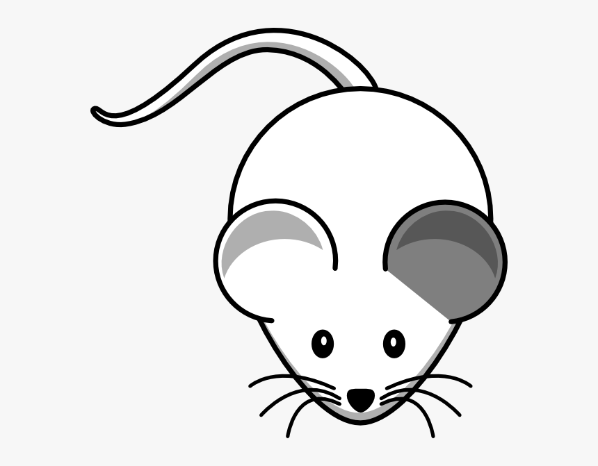 White Mouse Left Grey Ear Svg Clip Arts - Mouse Line Drawing, HD Png Download, Free Download