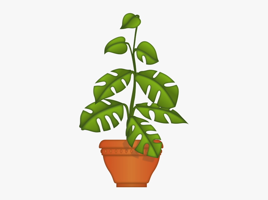 Flowerpot, HD Png Download - kindpng