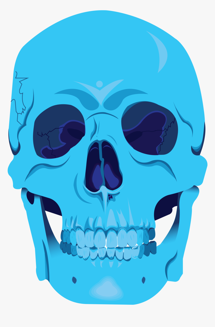 Skull, HD Png Download, Free Download