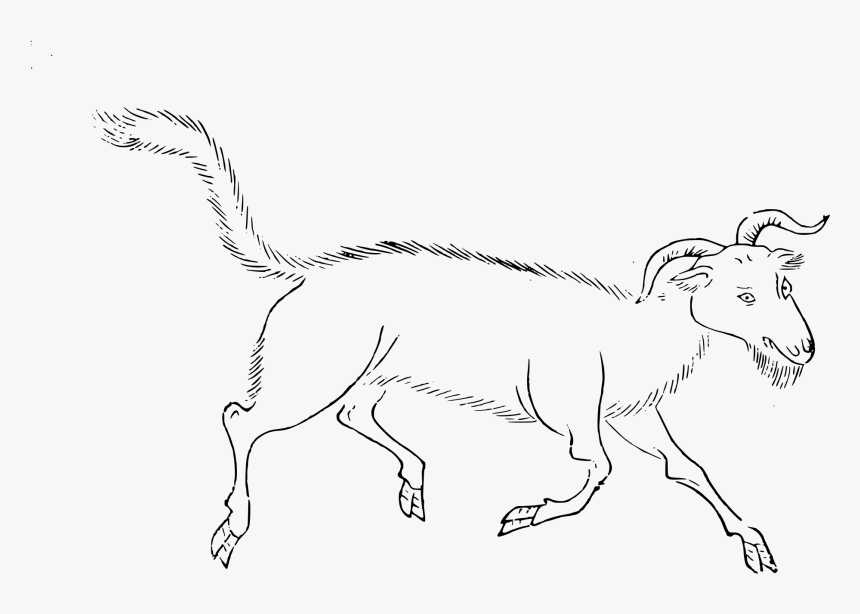 Transparent Ibex Clipart - Line Art, HD Png Download, Free Download