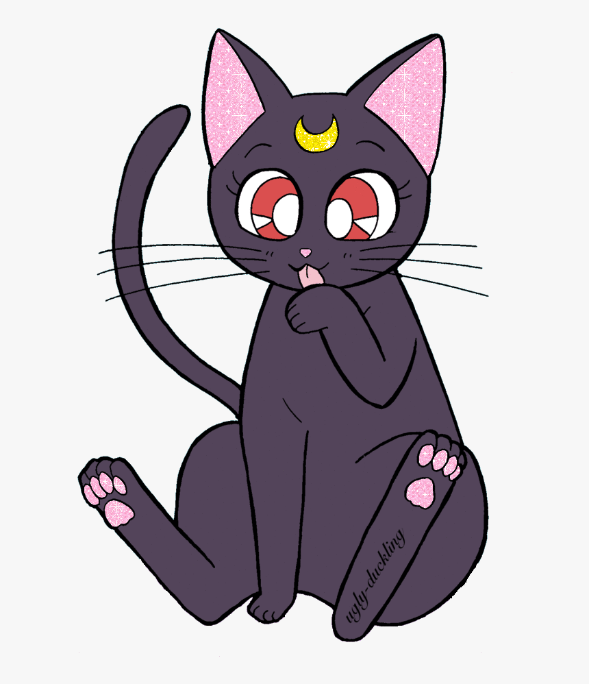 Sailor Moon Cat