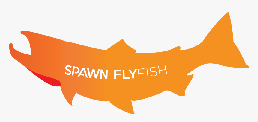 Spawn Fly Fish Logo, HD Png Download, Free Download