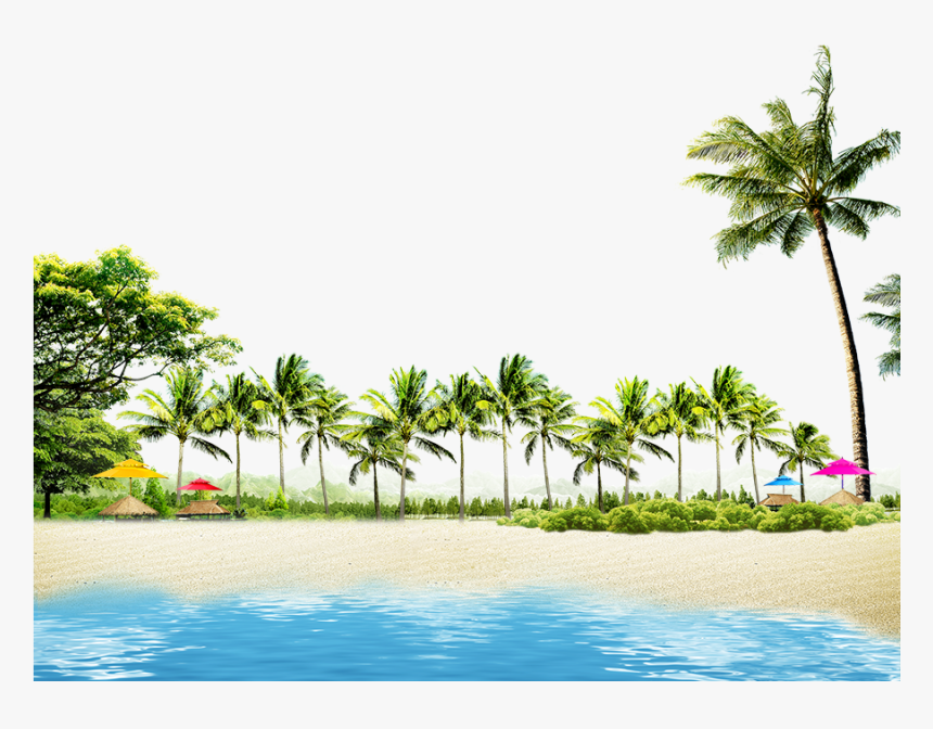 Beach With Coconut Palms And Summer Huts, HD Png Download, Free Download