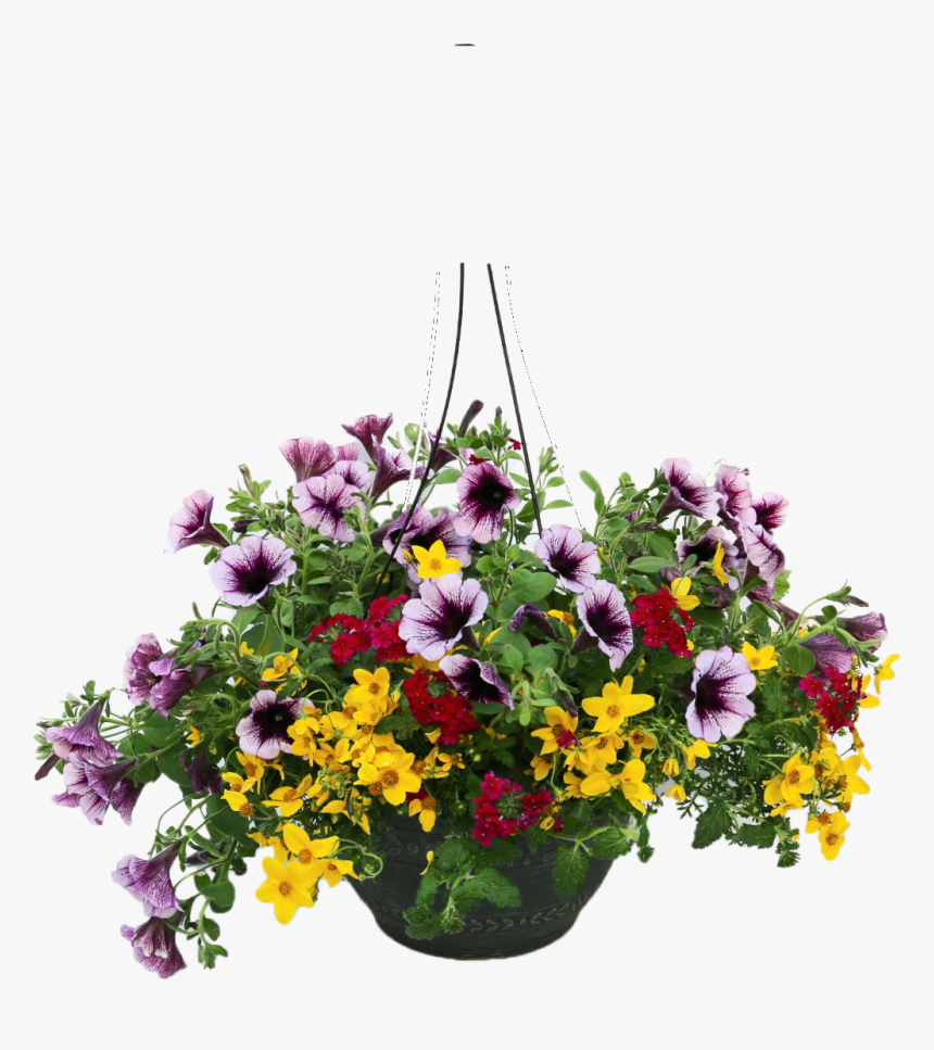 Hanging Flowers Png, Transparent Png, Free Download