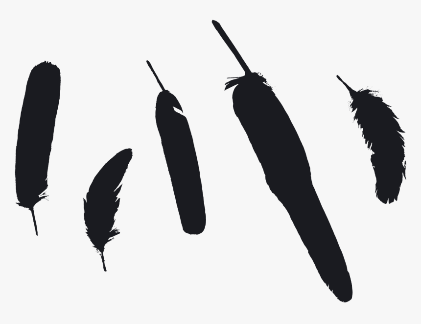 Indian Feathers Png, Transparent Png, Free Download