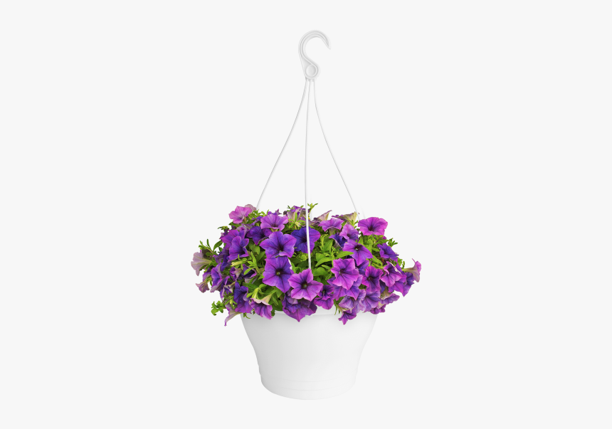 Hanging Flowers Png, Transparent Png, Free Download